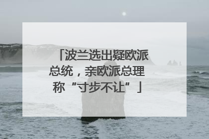 波兰选出疑欧派总统，亲欧派总理称“寸步不让”