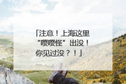 注意！上海这里“嘤嘤怪”出没！你见过没？！