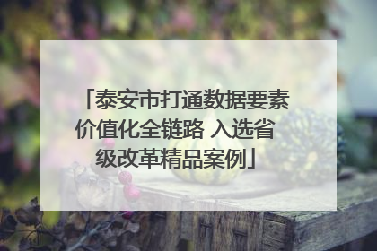 泰安市打通数据要素价值化全链路 入选省级改革精品案例