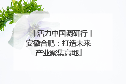 活力中国调研行丨安徽合肥：打造未来产业聚集高地