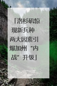 洛杉矶惊现新兵种 两大因素引爆加州“内战”升级