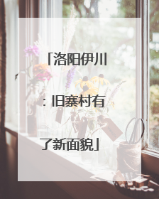 洛阳伊川：旧寨村有了新面貌
