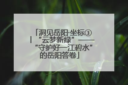 洞见岳阳·坐标③丨“云梦新绿”——“守护好一江碧水”的岳阳答卷
