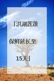 洪湖莲蓬保鲜延长至15天
