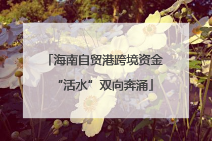 海南自贸港跨境资金“活水”双向奔涌