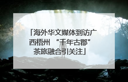 海外华文媒体到访广西梧州 “千年古郡”茶旅融合引关注