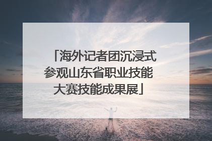 海外记者团沉浸式参观山东省职业技能大赛技能成果展