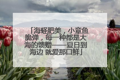 海蛏肥美，小章鱼脆弹，每一种都是大海的馈赠——夏日到海边 就爱那口鲜
