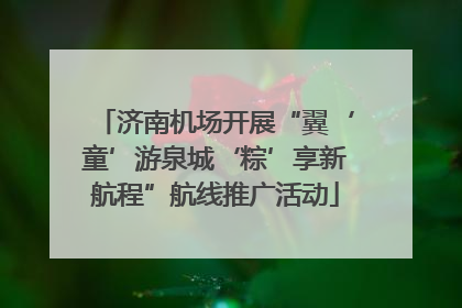 济南机场开展“翼‘童’游泉城‘粽’享新航程”航线推广活动