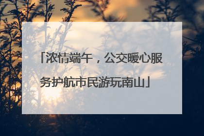 浓情端午，公交暖心服务护航市民游玩南山