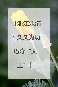 浙江乐清：久久为功 巧夺“天工”