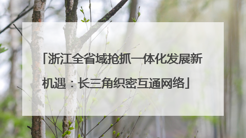 浙江全省域抢抓一体化发展新机遇：长三角织密互通网络