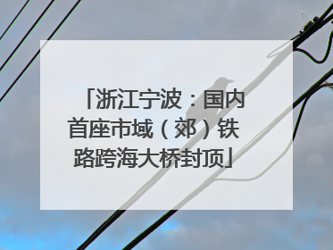 浙江宁波：国内首座市域（郊）铁路跨海大桥封顶