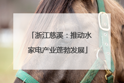 浙江慈溪：推动水家电产业蓬勃发展