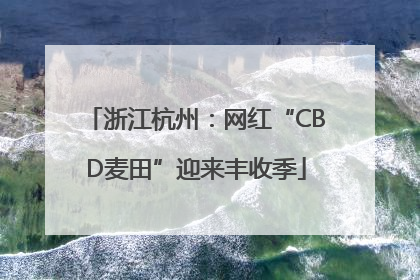 浙江杭州：网红“CBD麦田”迎来丰收季