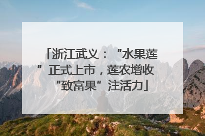 浙江武义：“水果莲”正式上市，莲农增收“致富果”注活力