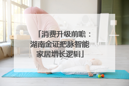 消费升级前瞻：湖南金证把脉智能家居增长逻辑