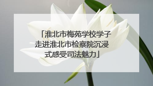 淮北市梅苑学校学子走进淮北市检察院沉浸式感受司法魅力