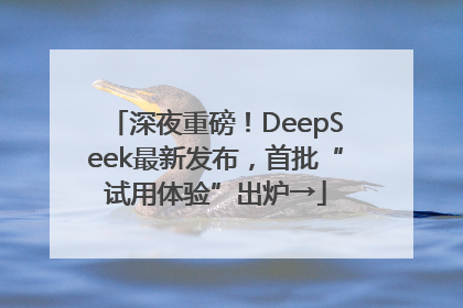 深夜重磅！DeepSeek最新发布，首批“试用体验”出炉→