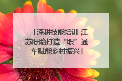 深耕技能培训 江苏盱眙打造“职”通车赋能乡村振兴