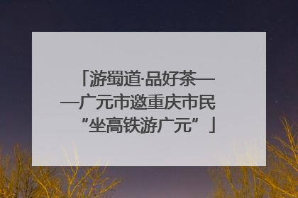 游蜀道·品好茶——广元市邀重庆市民“坐高铁游广元”