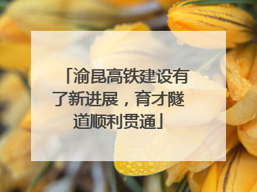渝昆高铁建设有了新进展，育才隧道顺利贯通