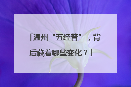 温州“五经普”，背后藏着哪些变化？