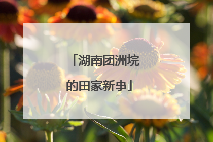 湖南团洲垸的田家新事