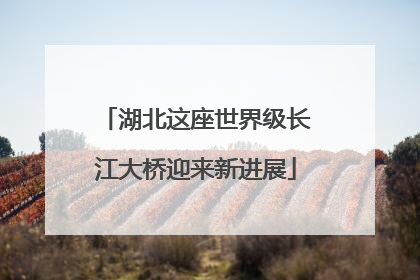 湖北这座世界级长江大桥迎来新进展