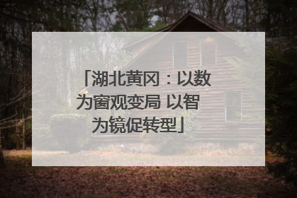 湖北黄冈：以数为窗观变局 以智为镜促转型