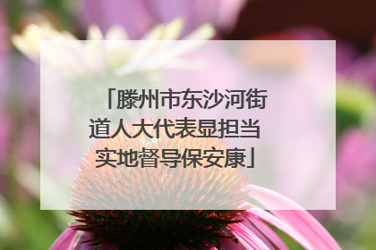 滕州市东沙河街道人大代表显担当实地督导保安康