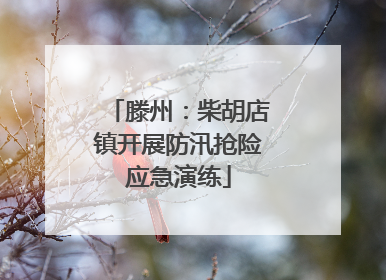 滕州：柴胡店镇开展防汛抢险应急演练