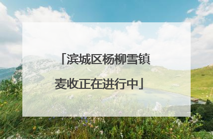 滨城区杨柳雪镇麦收正在进行中