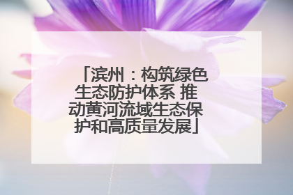 滨州：构筑绿色生态防护体系 推动黄河流域生态保护和高质量发展