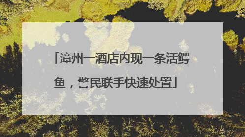 漳州一酒店内现一条活鳄鱼，警民联手快速处置