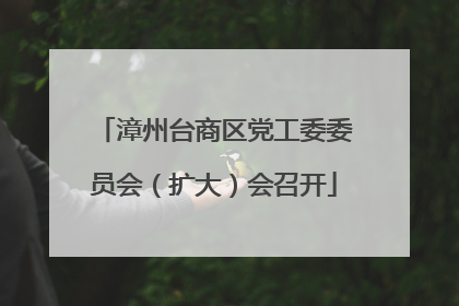 漳州台商区党工委委员会（扩大）会召开