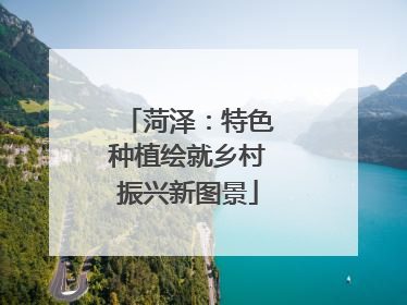 菏泽：特色种植绘就乡村振兴新图景