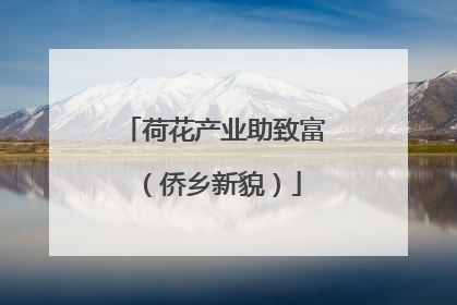 荷花产业助致富（侨乡新貌）