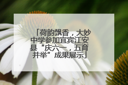 荷韵飘香，大妙中学参加宜宾江安县“庆六一，五育并举”成果展示