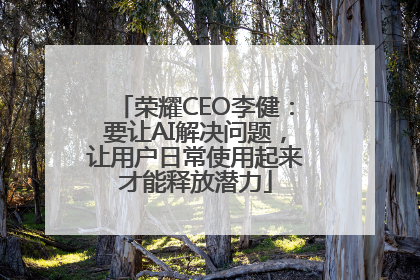 荣耀CEO李健：要让AI解决问题，让用户日常使用起来才能释放潜力