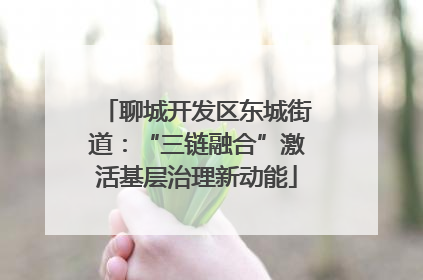 聊城开发区东城街道：“三链融合”激活基层治理新动能