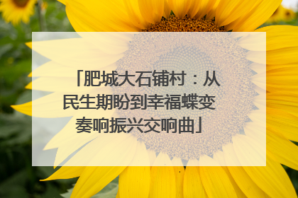 肥城大石铺村：从民生期盼到幸福蝶变奏响振兴交响曲