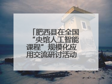 肥西县在全国“央馆人工智能课程”规模化应用交流研讨活动作交流发言