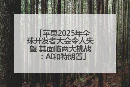苹果2025年全球开发者大会令人失望 其面临两大挑战：AI和特朗普