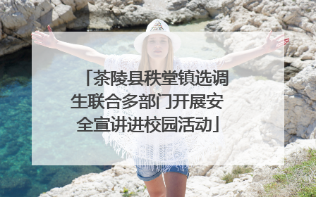 茶陵县秩堂镇选调生联合多部门开展安全宣讲进校园活动