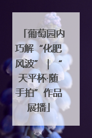 葡萄园内巧解“化肥风波”｜“天平杯·随手拍”作品展播