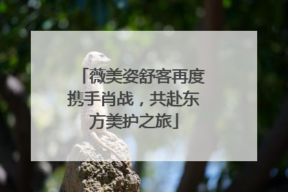薇美姿舒客再度携手肖战，共赴东方美护之旅