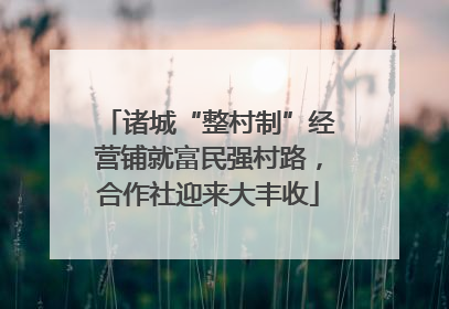 诸城“整村制”经营铺就富民强村路，合作社迎来大丰收