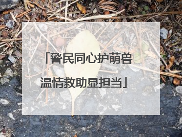 警民同心护萌兽 温情救助显担当