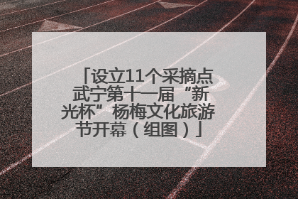 设立11个采摘点 武宁第十一届“新光杯”杨梅文化旅游节开幕（组图）